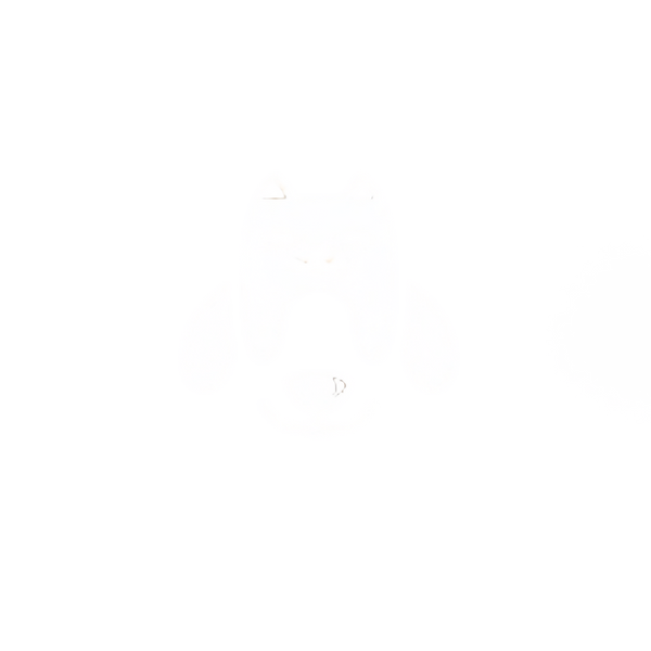 PAWPIT